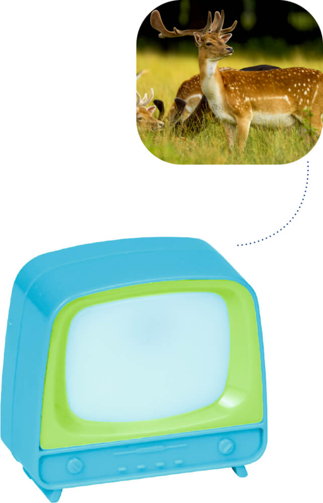 Klick Fernseher - Bunte Geschenke (einzeln)