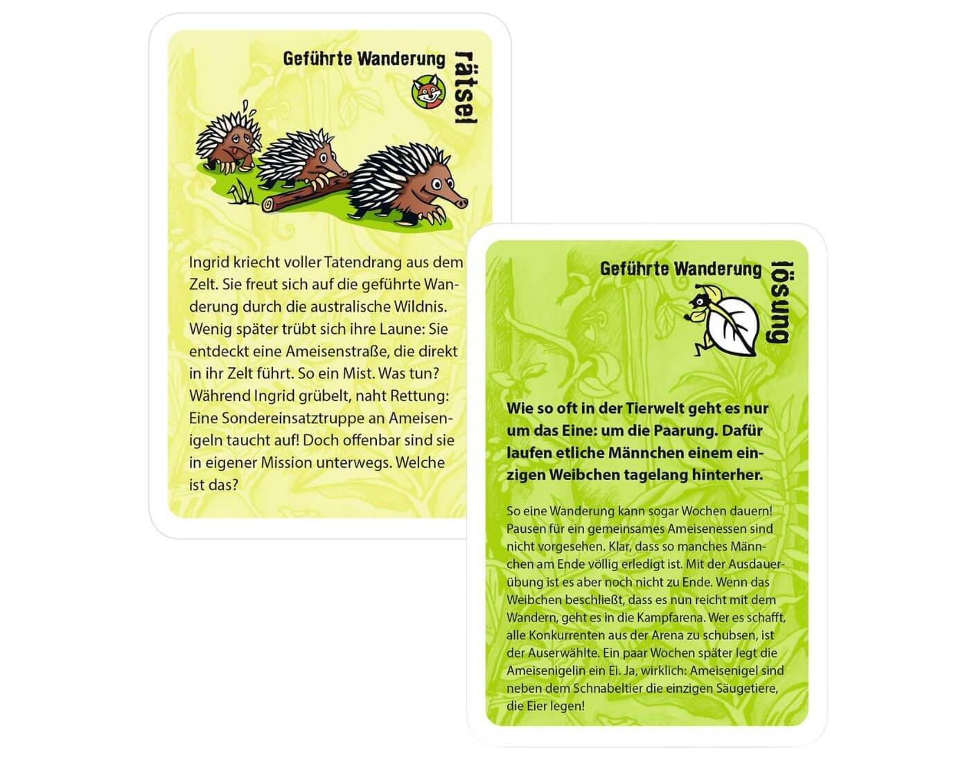black stories junior Tierisch wild!
