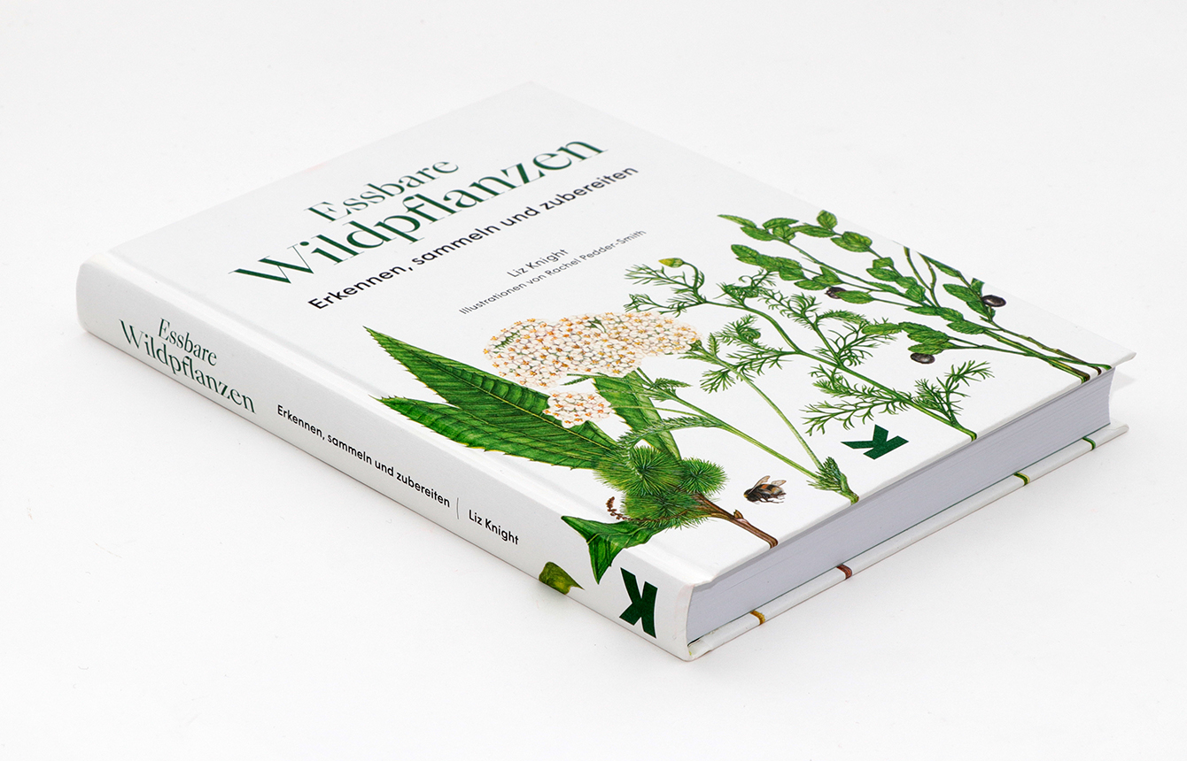 Essbare Wildpflanzen Erkennen, sammeln und zubereiten