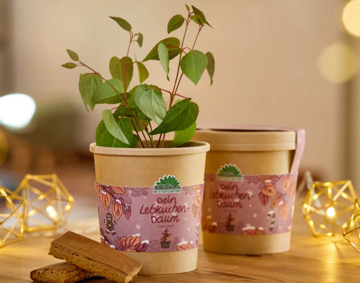 Lebkuchenbaum aus dem Becher