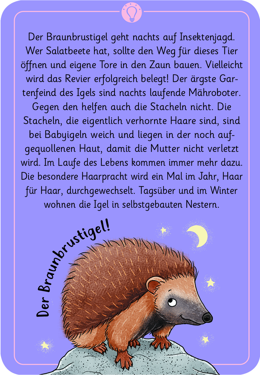 Expedition Natur 50 wundersame Tierrätsel - Tiere der Nacht