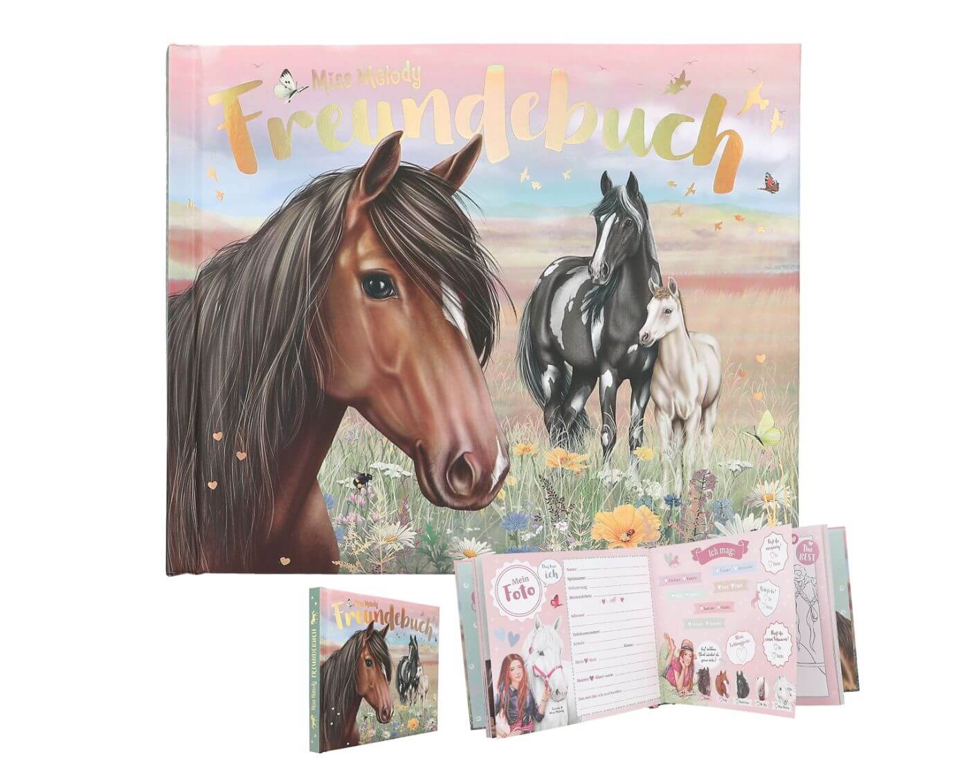 depesche-pferde-freundebuch-1-1 Miss Melody Freundebuch, Motiv 1