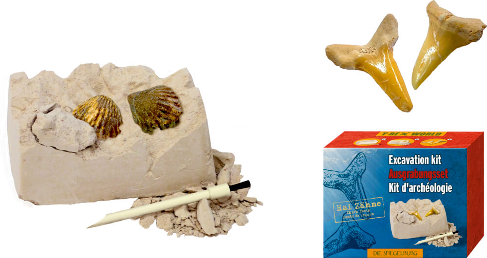 4029753180209_4 Mini-Ausgrabungsset Fossilien - T-Rex World (einzeln) versch. Motive