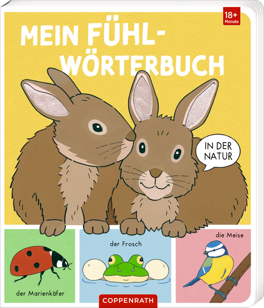 Mein Fühl-Wörterbuch: In der Natur (Fühlen&begreifen)