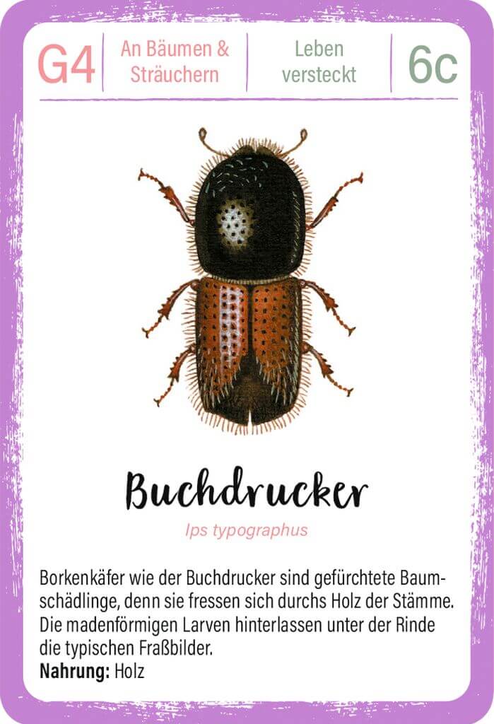 Expedition Natur Quartett Minimonster