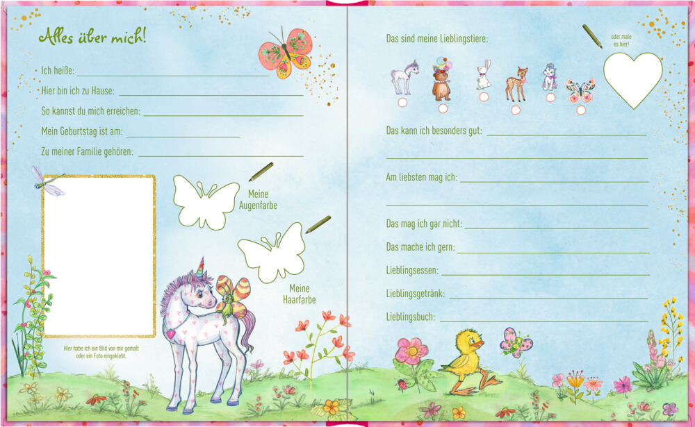 Freundebuch: Prinzessin Lillifee - Meine Freundinnen und Freunde