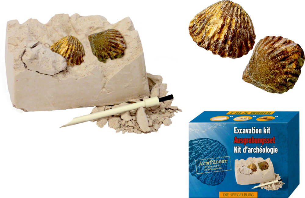 Mini-Ausgrabungsset Fossilien - T-Rex World (einzeln) versch. Motive