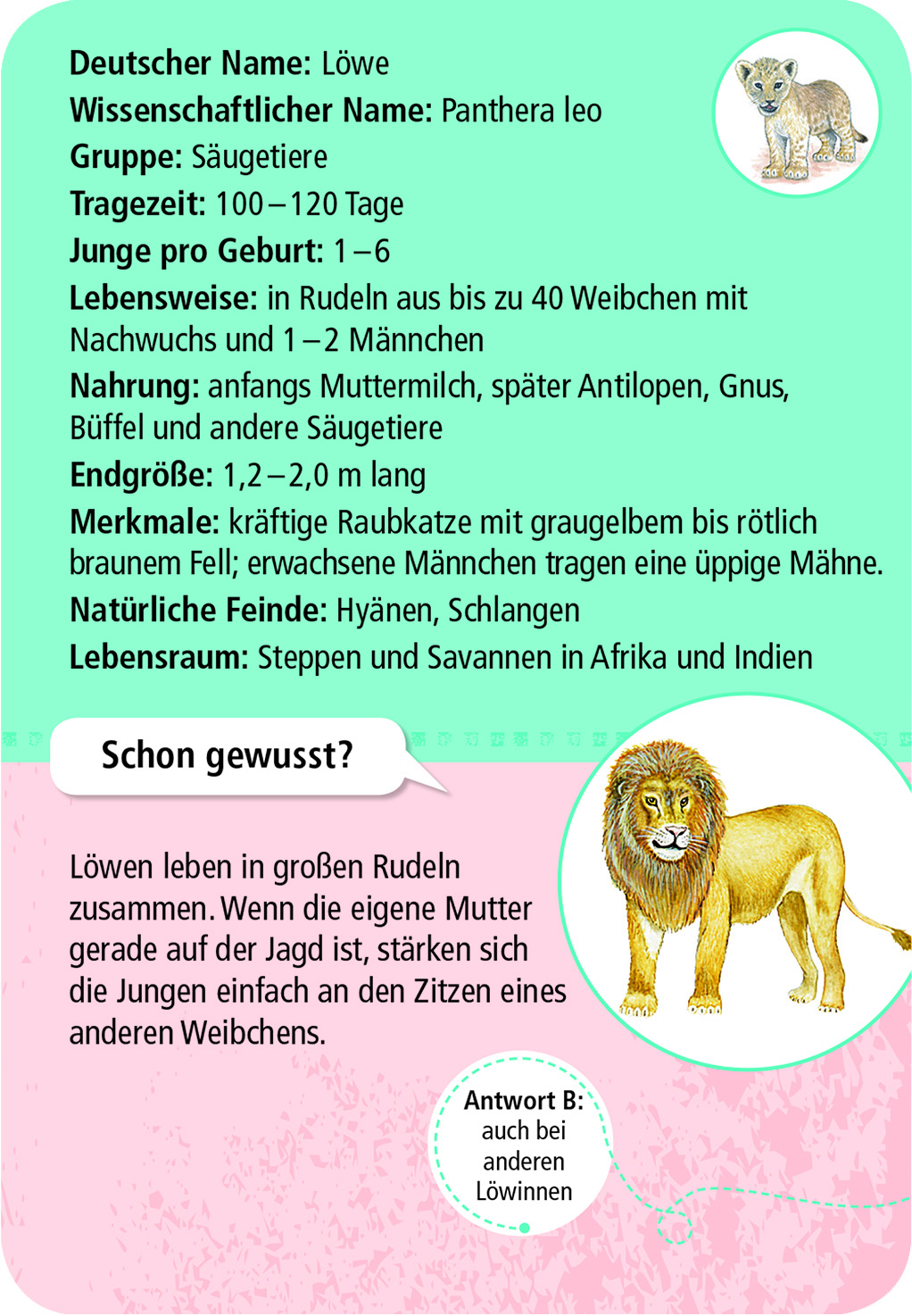 9844_Inhalt_1B Expedition Natur 50 Tierkinder