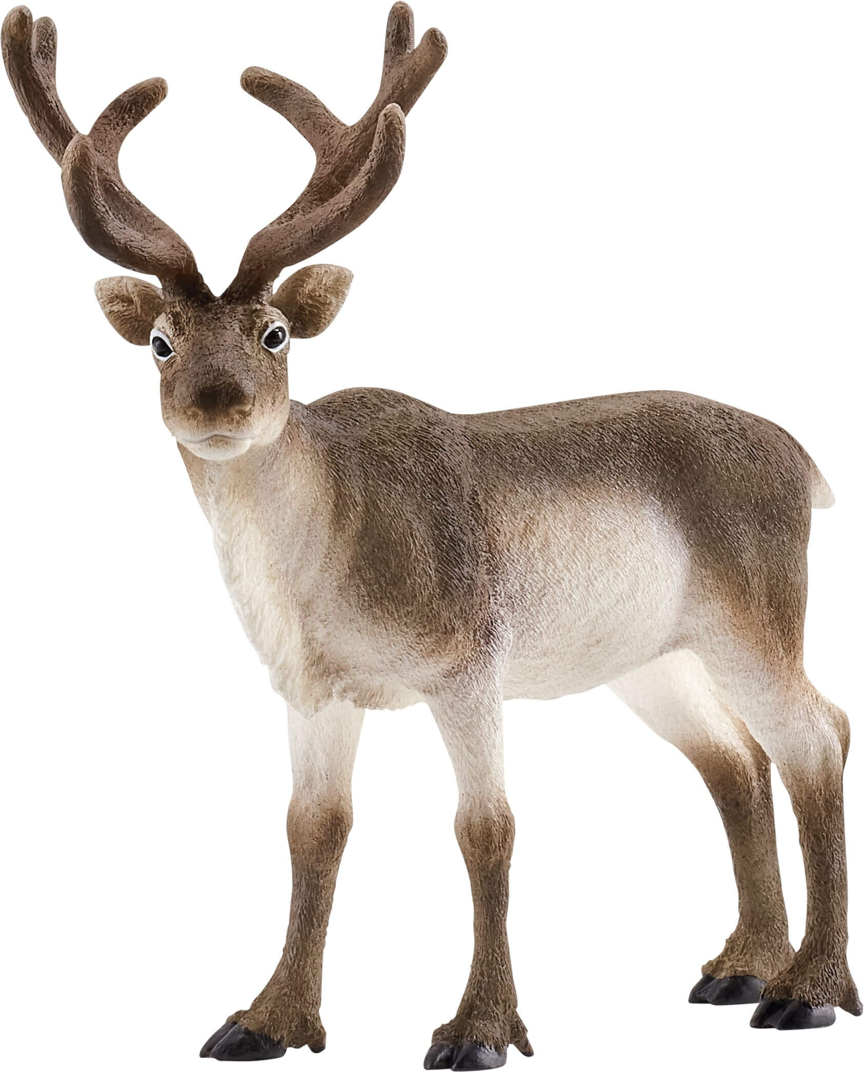 schleich® WILD LIFE 14837 Rentier