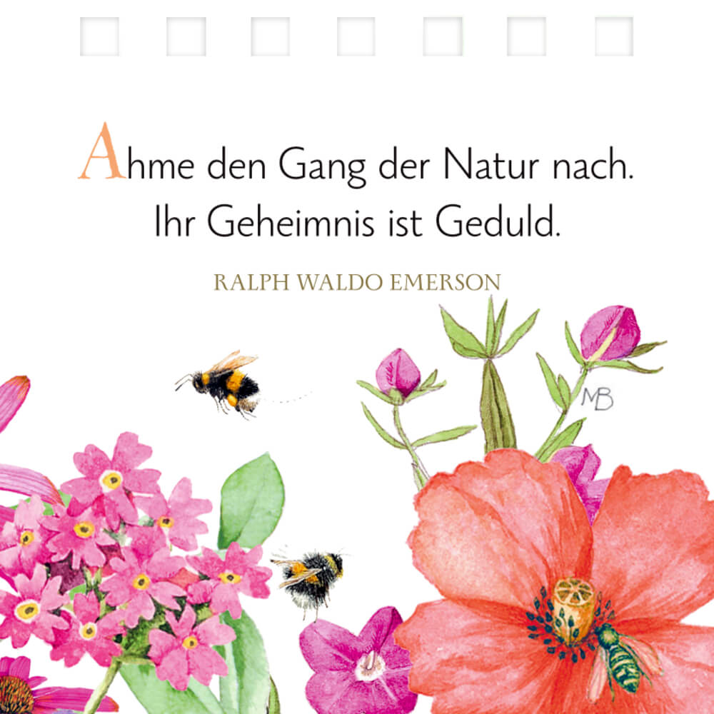 Mini-Spiralaufsteller: Eine kleine Auszeit für dich - M. Bastin