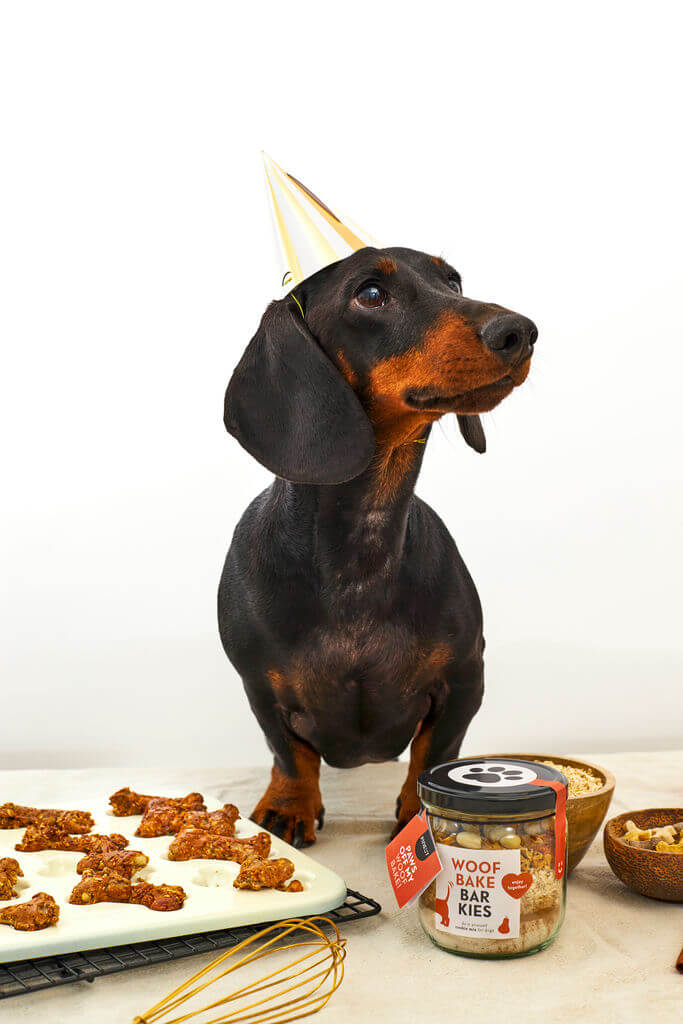 Woof bake Barkies - Hundekekse Kürbis Woof bake Barkies - Hundekekse Kürbis