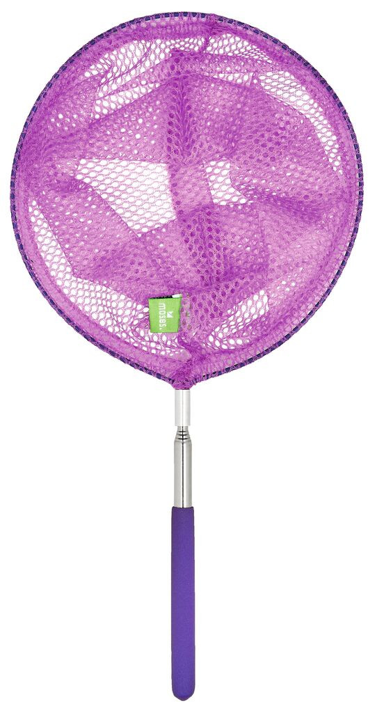 Krabbelkäfer Fangnetz mit Teleskopstiel (versch. Farben) - Kescher