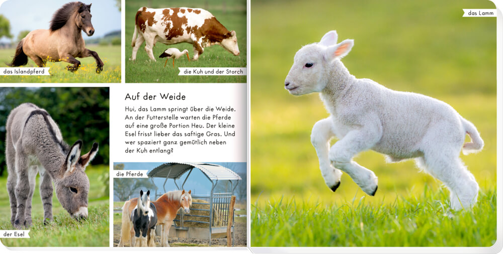 9783649644873_2-1 Meine liebsten Tiere auf dem Bauernhof