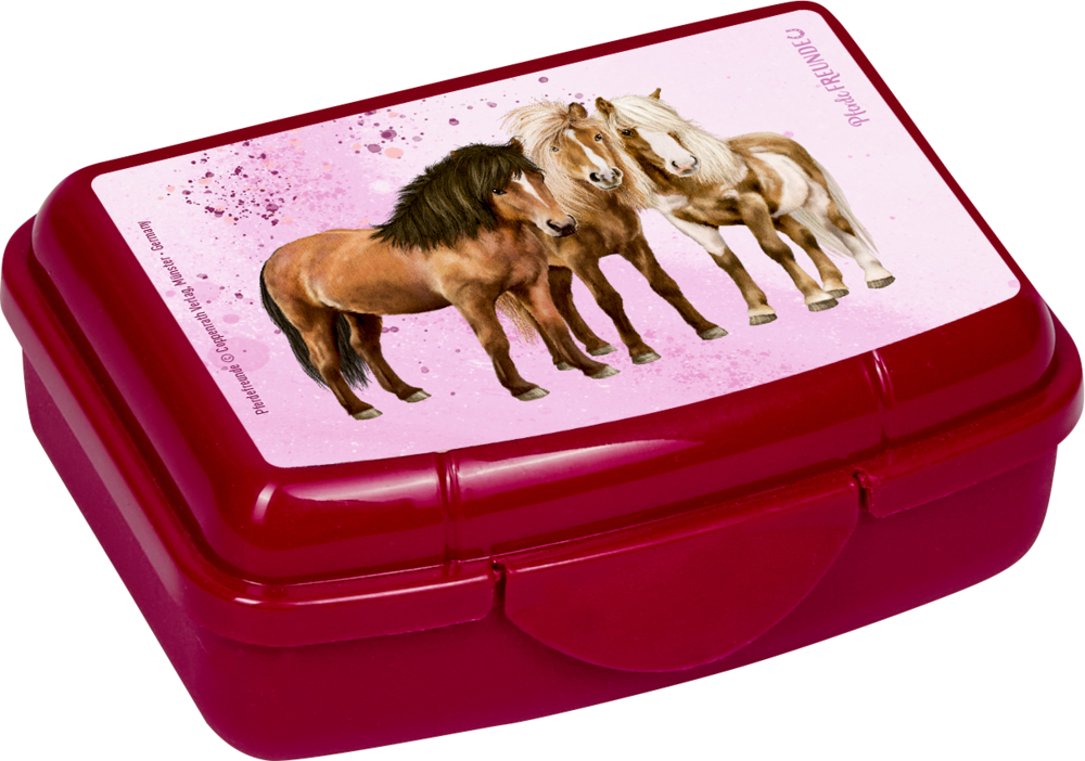 4029753181275_2 Mini-Snackbox - Pferdefreunde (einzeln)