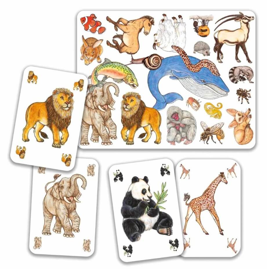 Kartenspiele - Zanimatch