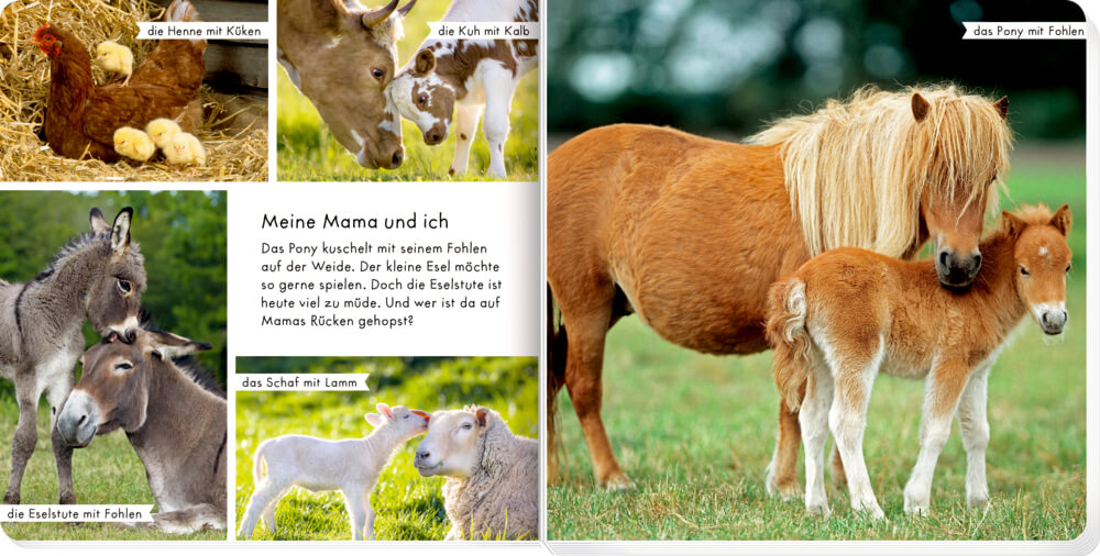 9783649644873_1-1 Meine liebsten Tiere auf dem Bauernhof