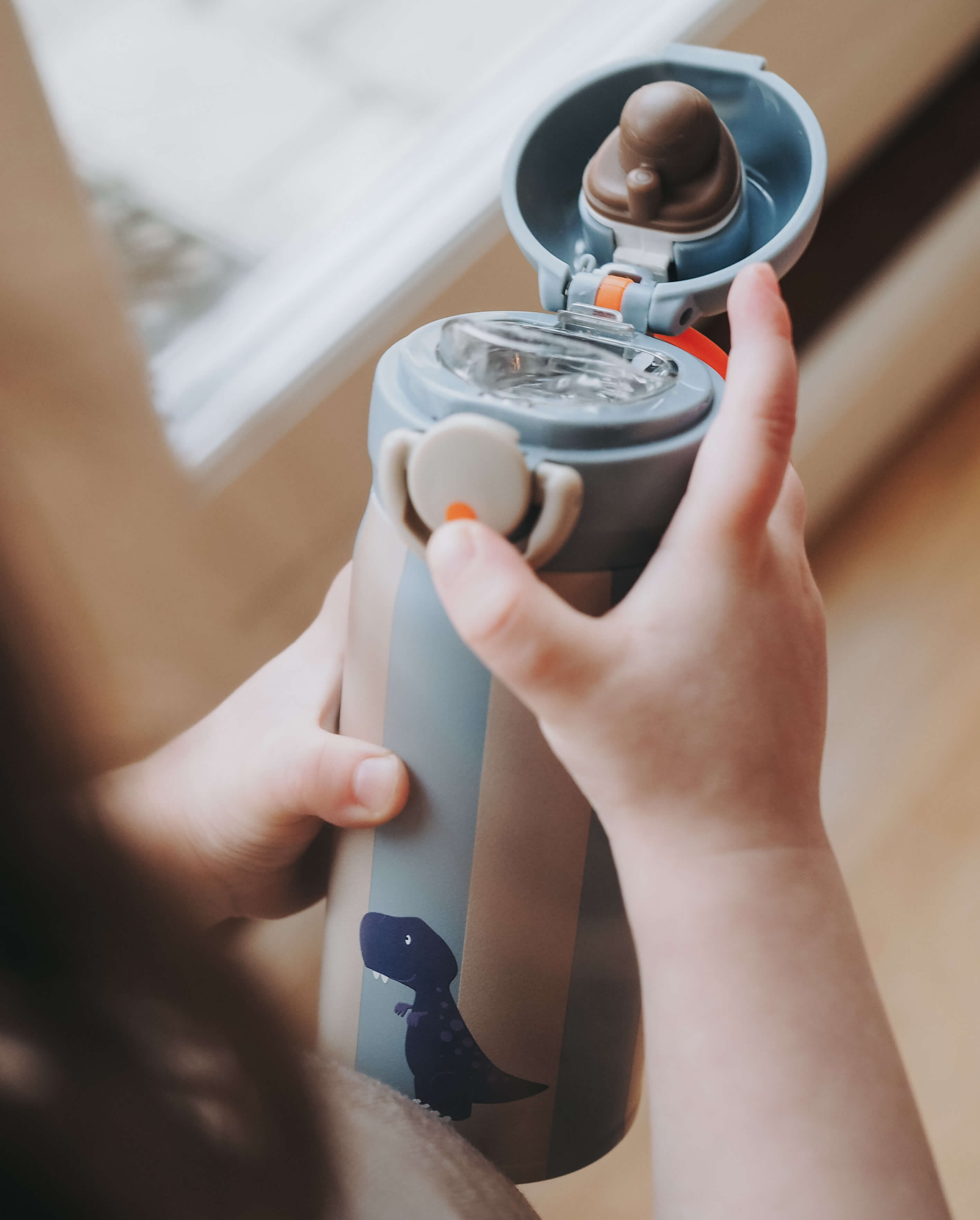 Trinkflasche Dino