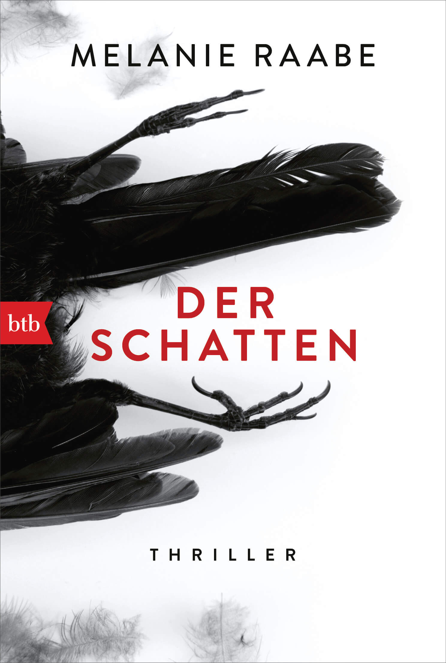 Melanie Raabe: Der Schatten
