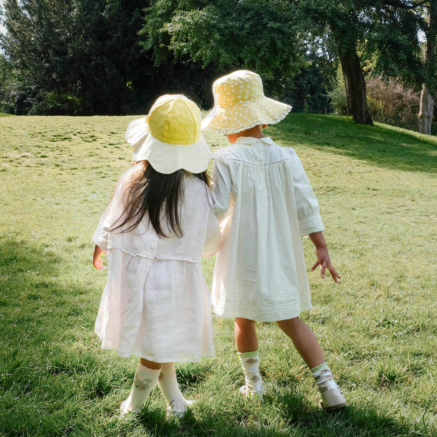 Wendbarer Sonnenhut mit Blütenblattrüsche