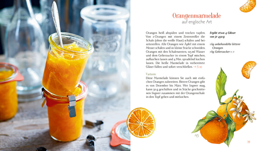 Karin Iden: Sonne im Glas - Die besten Marmeladen und Chutneys (Bastin)