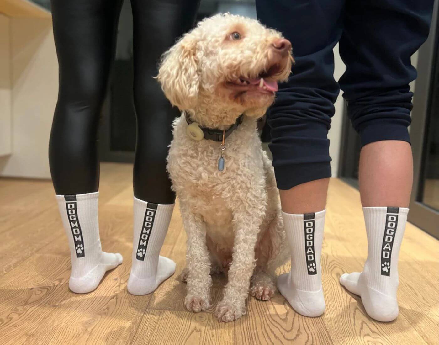 Socken Dogdad - Größe 40-43 Socken Dogdad - Größe 40-43