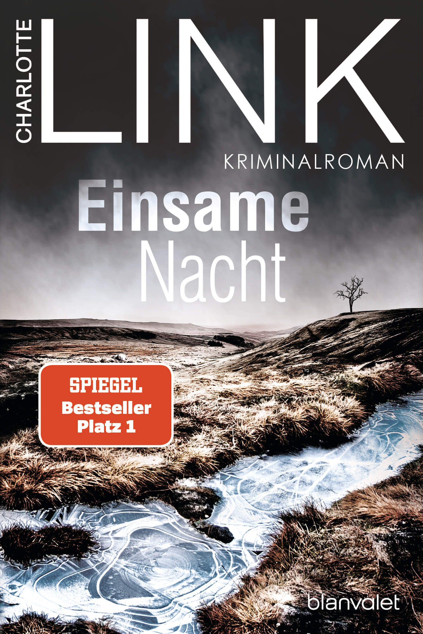 Charlotte Link: Einsame Nacht