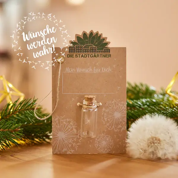 kleiner-wunscherfueller-emotion Wunscherfüller, klein