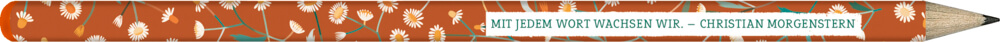 4050003951973_5 Bleistift-Set mit Sprüchen - All about orange