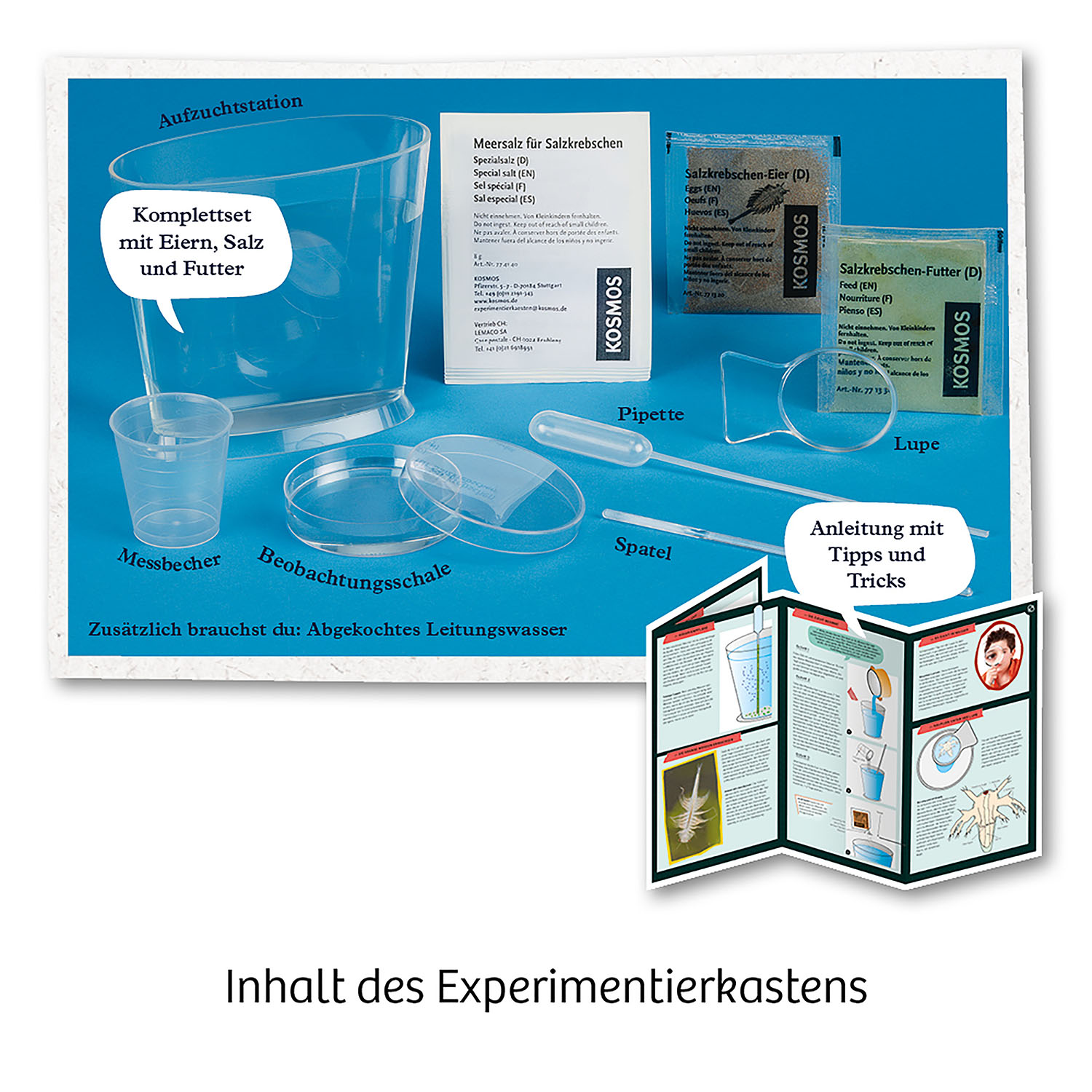 4002051657871_2 Urzeit-Krebse Experimentierkasten