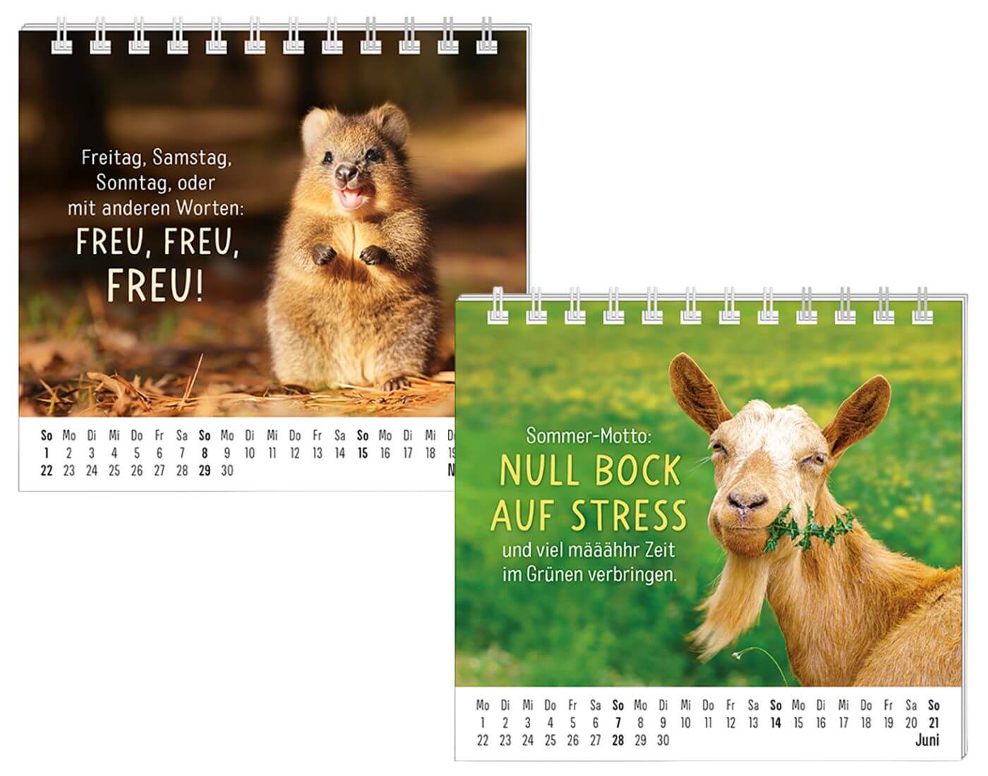 Mini-Kalender 2026 Happymacher