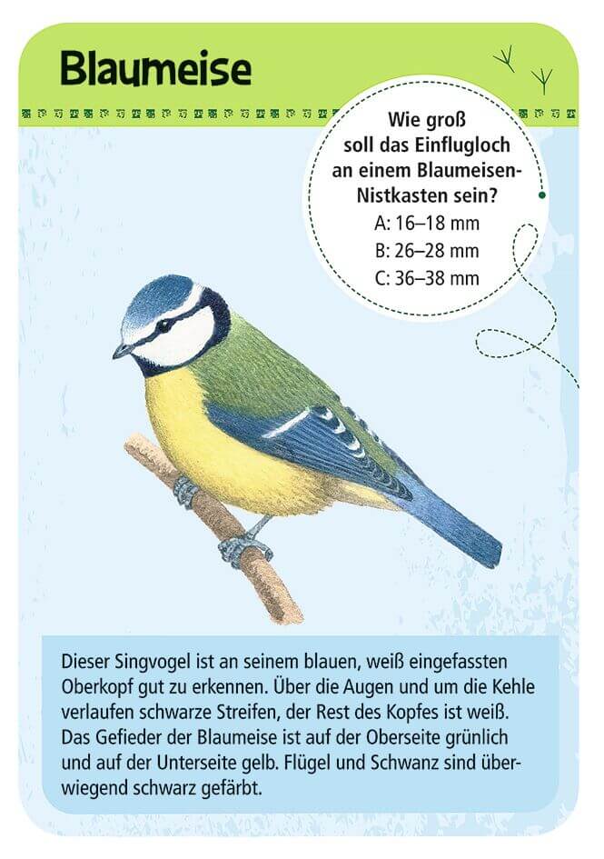 9715_Inhalt_1A-1 Expedition Natur - 50 heimische Vögel