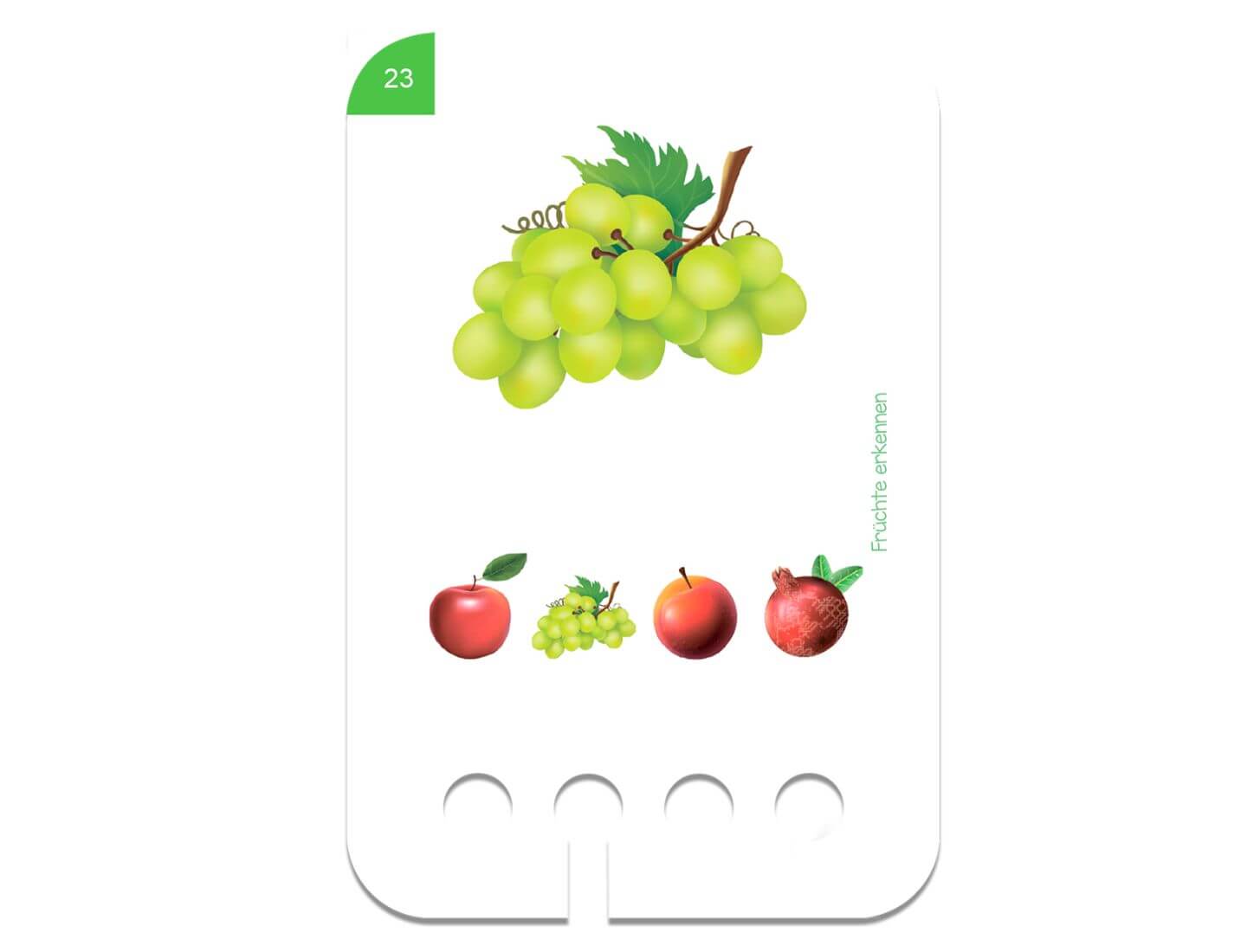 Erste Übungen - Früchte erkennen 2+