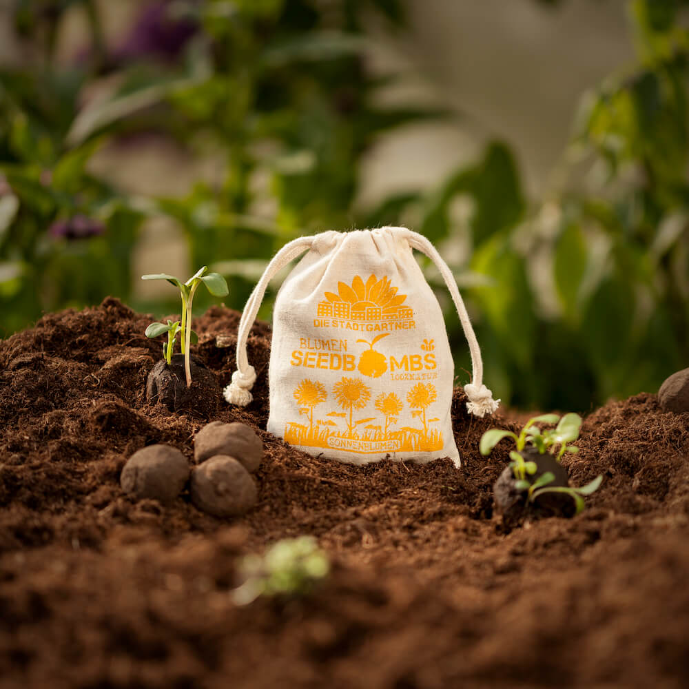 Seedbombs Sonnenblumen