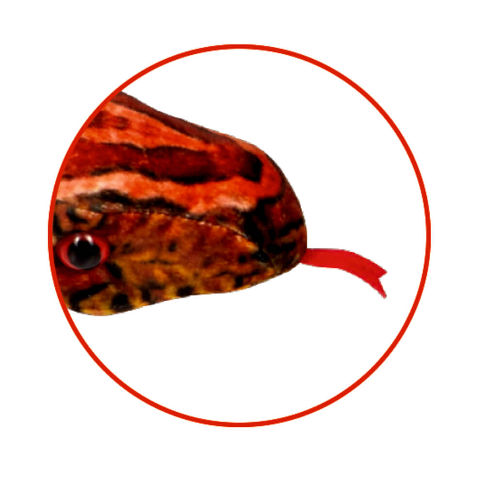 4029753223333_2 Kornnatter - Natur Zoom Wild