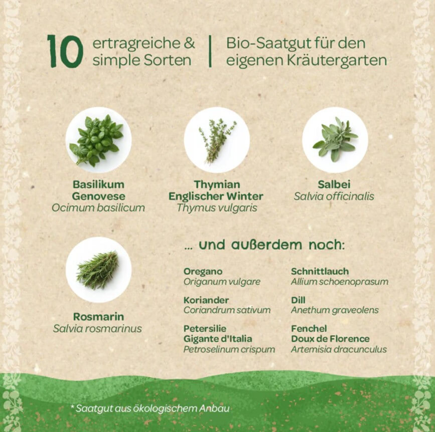 Saatgut-Set Küchenkräuter (BIO)