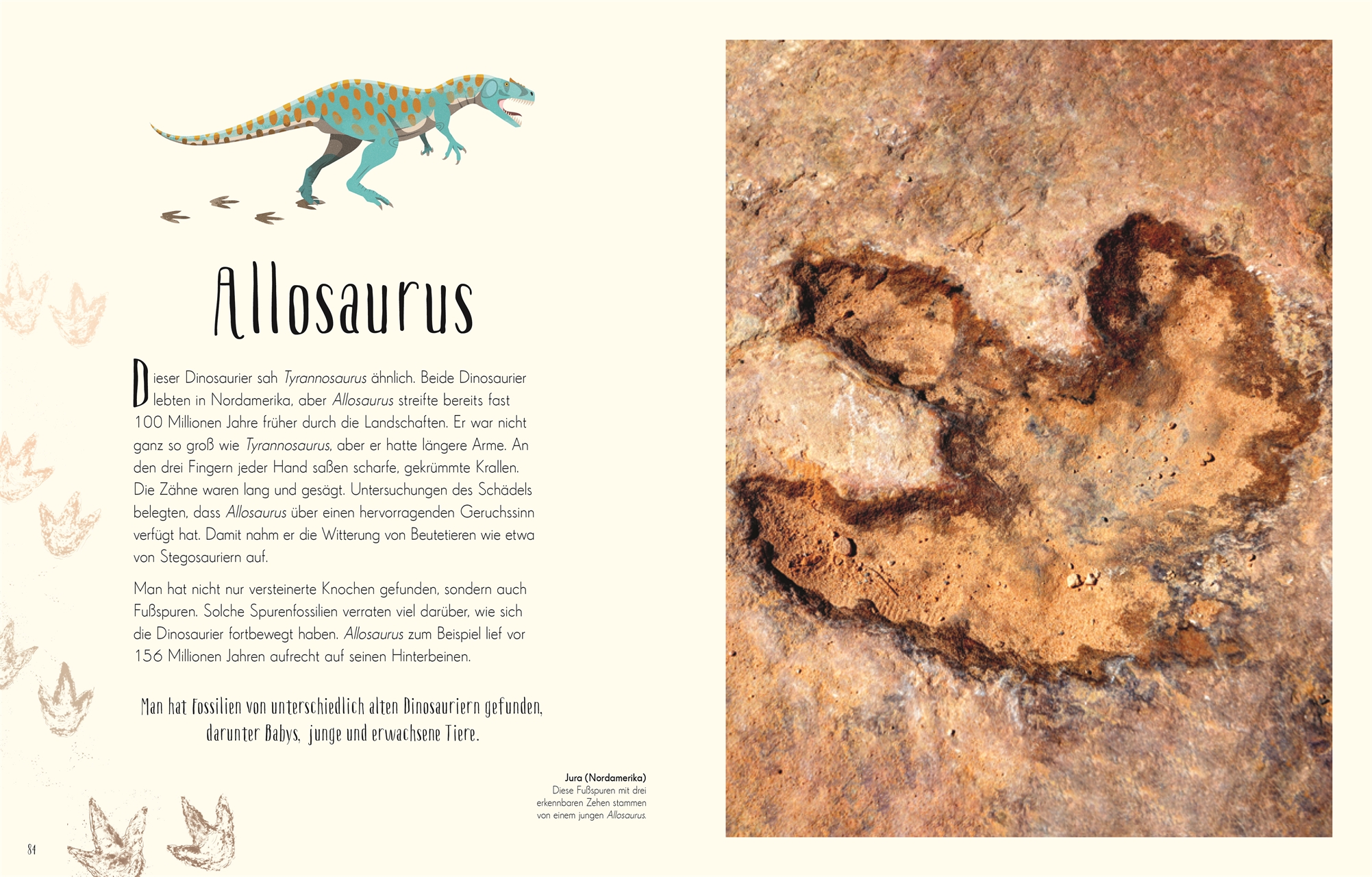 Anusuya Chinsamy-Turan, Angela Rizza (Illustr.), Daniel Long (Illustr.) Wundervolle Welt der Dinosau