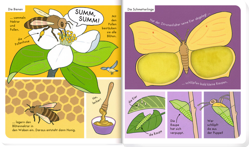 Mein Fühl-Wörterbuch: In der Natur (Fühlen&begreifen) Mein Fühl-Wörterbuch: In der Natur (Fühlen&begreifen)