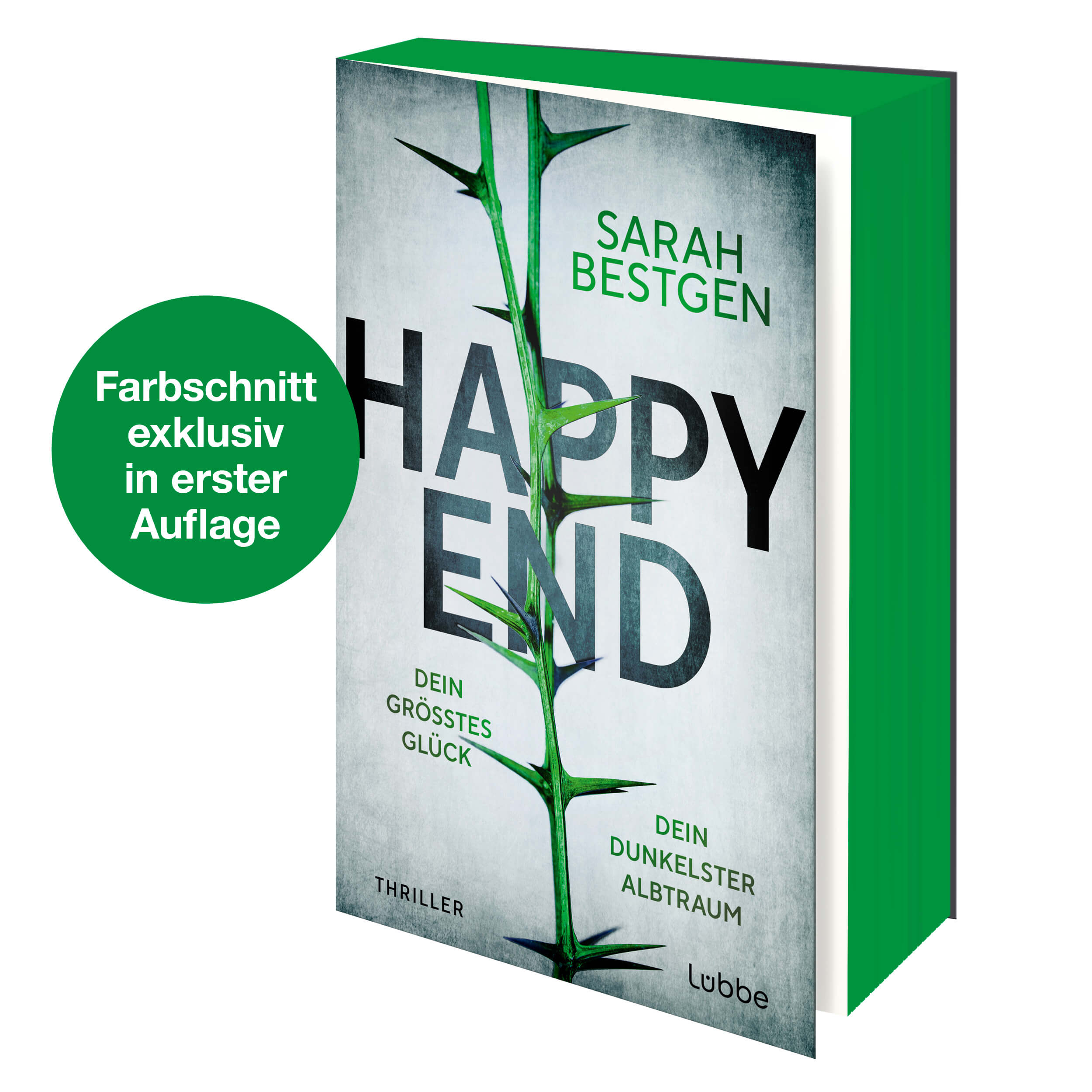 Sarah Bestgen - Happy End