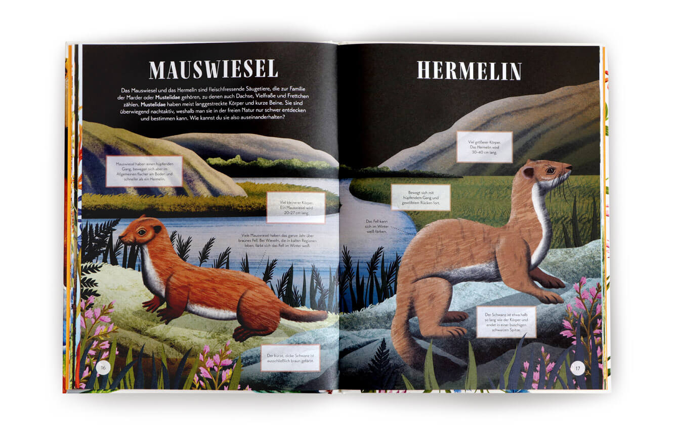 knvmmdb-42-11yKP1qICEK9tC Lucy Thorn: Wer ist wer? Doppelgänger in der Tierwelt