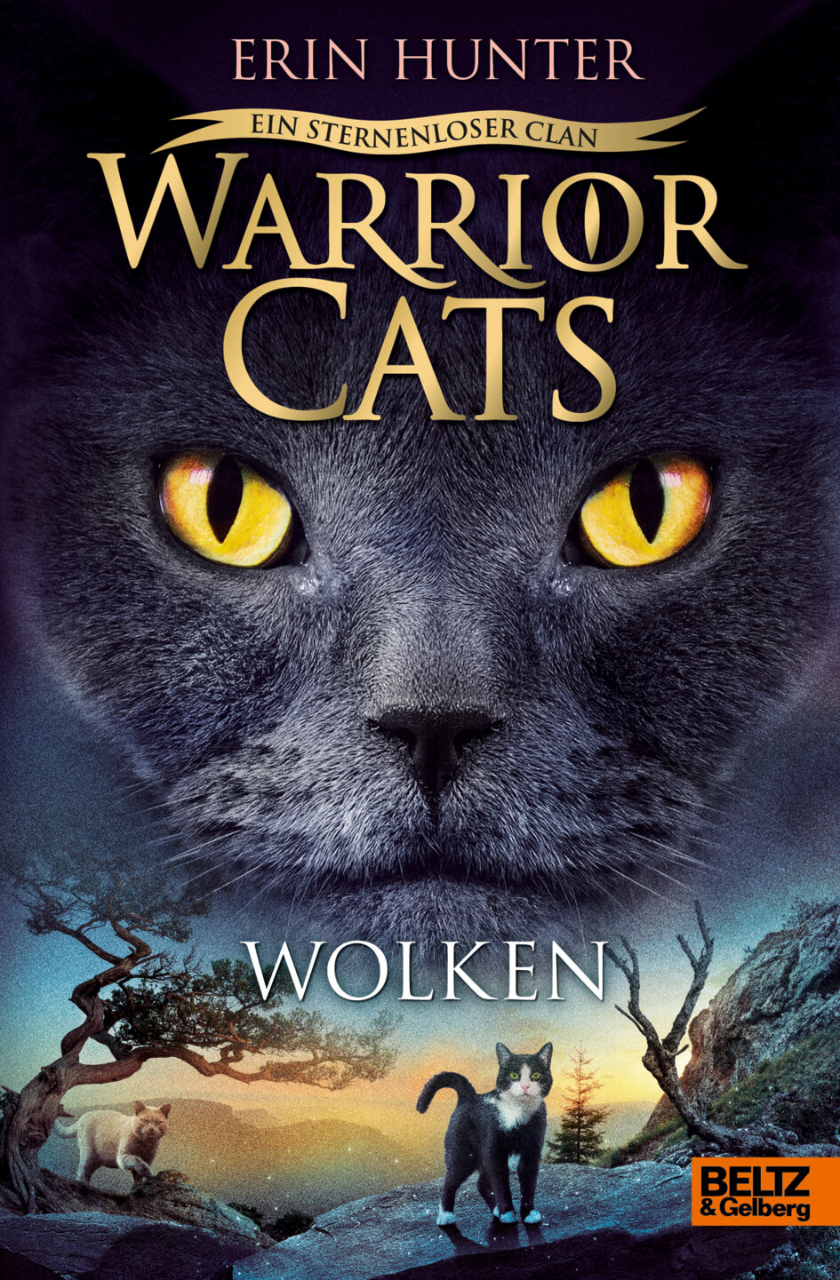 Erin Hunter: Warrior Cats 8/2 Ein sternenloser Clan: Wolken