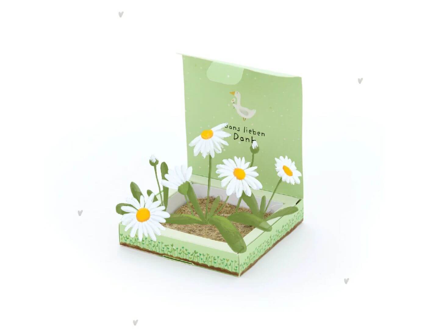 Pflanzkästchen - Gans lieben Dank