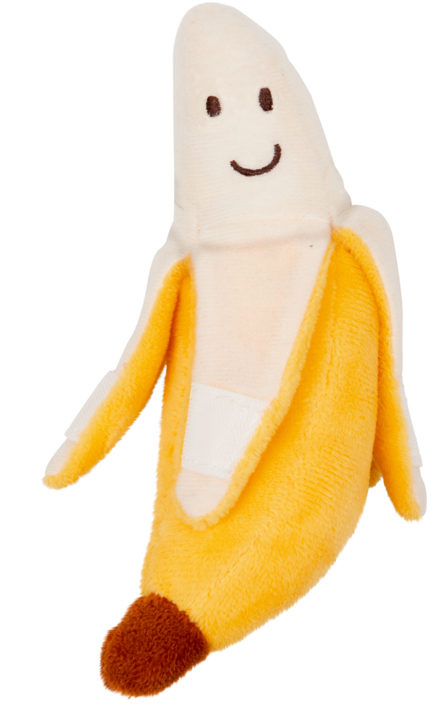 Pl
