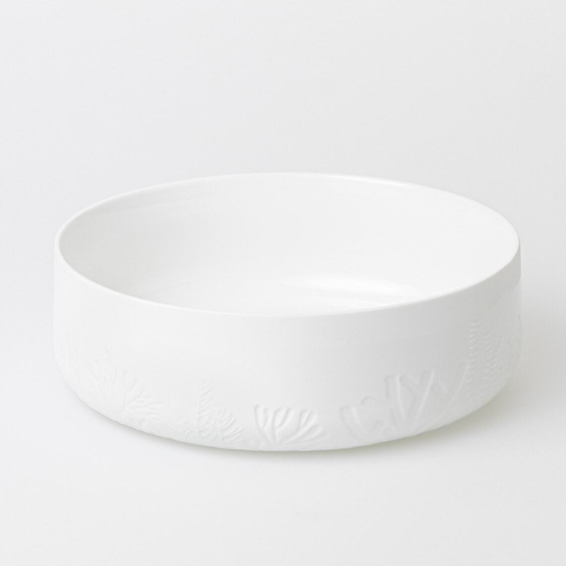 17357-1 UNTERWASSERWELT. SCHALE. FISCHE