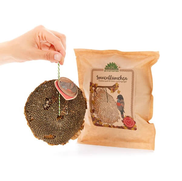 Die Stadtgärtner - Sonnenblümchen