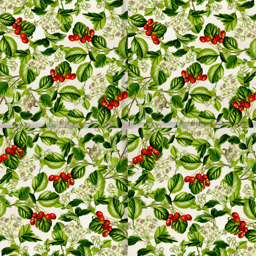 Servietten (20 St.) Reise in die Natur - AUGUSTINA