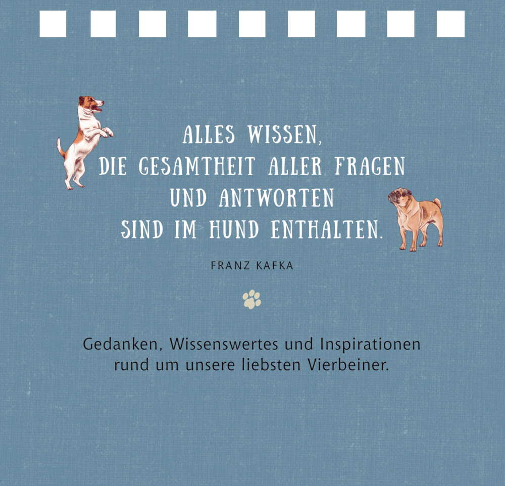 9783649646044_BC Kleines Spiralaufstellbuch: Tierisch beste Freunde (cats & dogs)