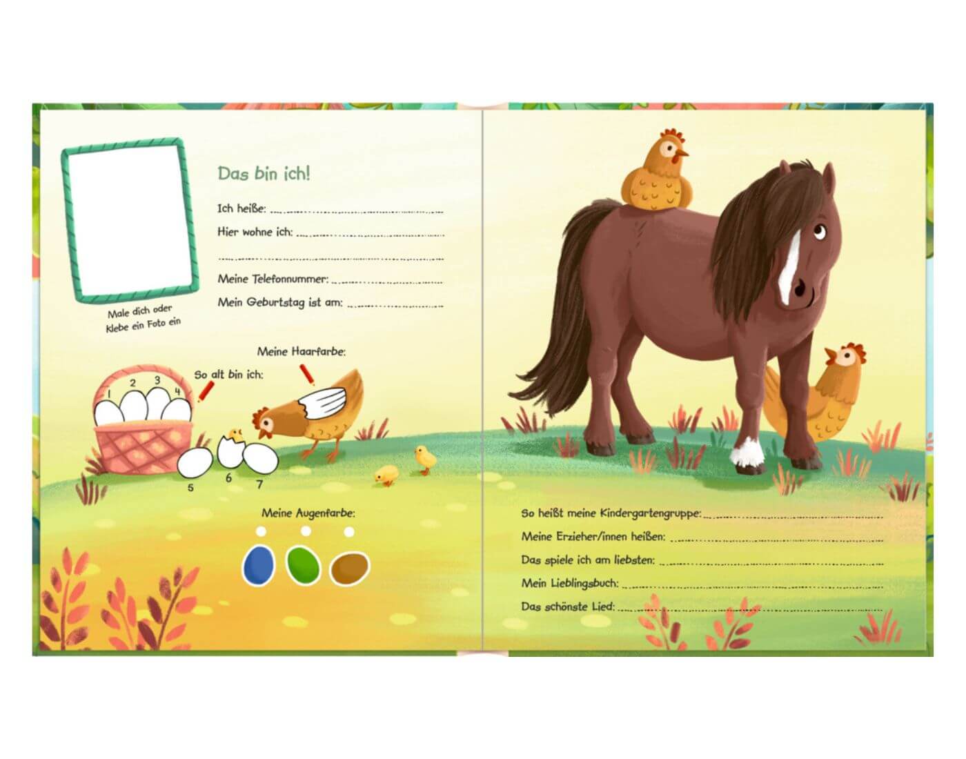 Freundebuch mit Ponymähne: Meine Kindergarten-Freunde Freundebuch mit Ponymähne: Meine Kindergarten-Freunde