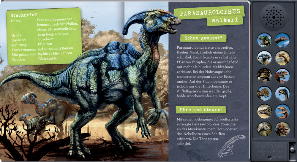 9783649647775_3 Das große Dinosaurier-Soundbuch - T-Rex World