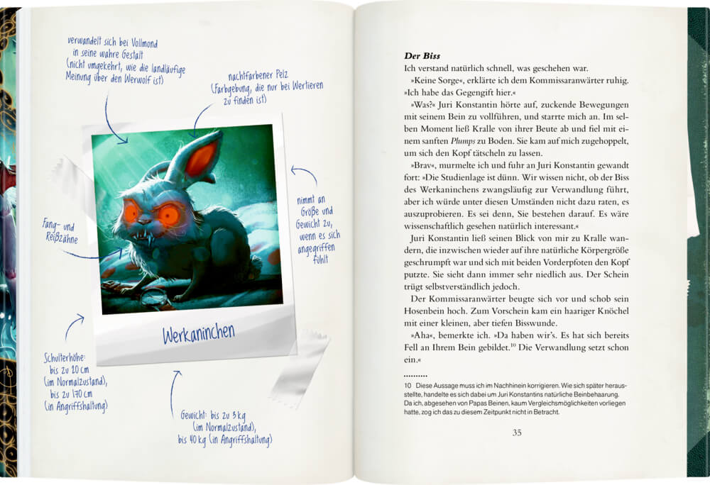 Anja Fislage: Smeralda Bohms Bestiarium (Bd.1) - Auf den Spuren der verborgenen Wesen