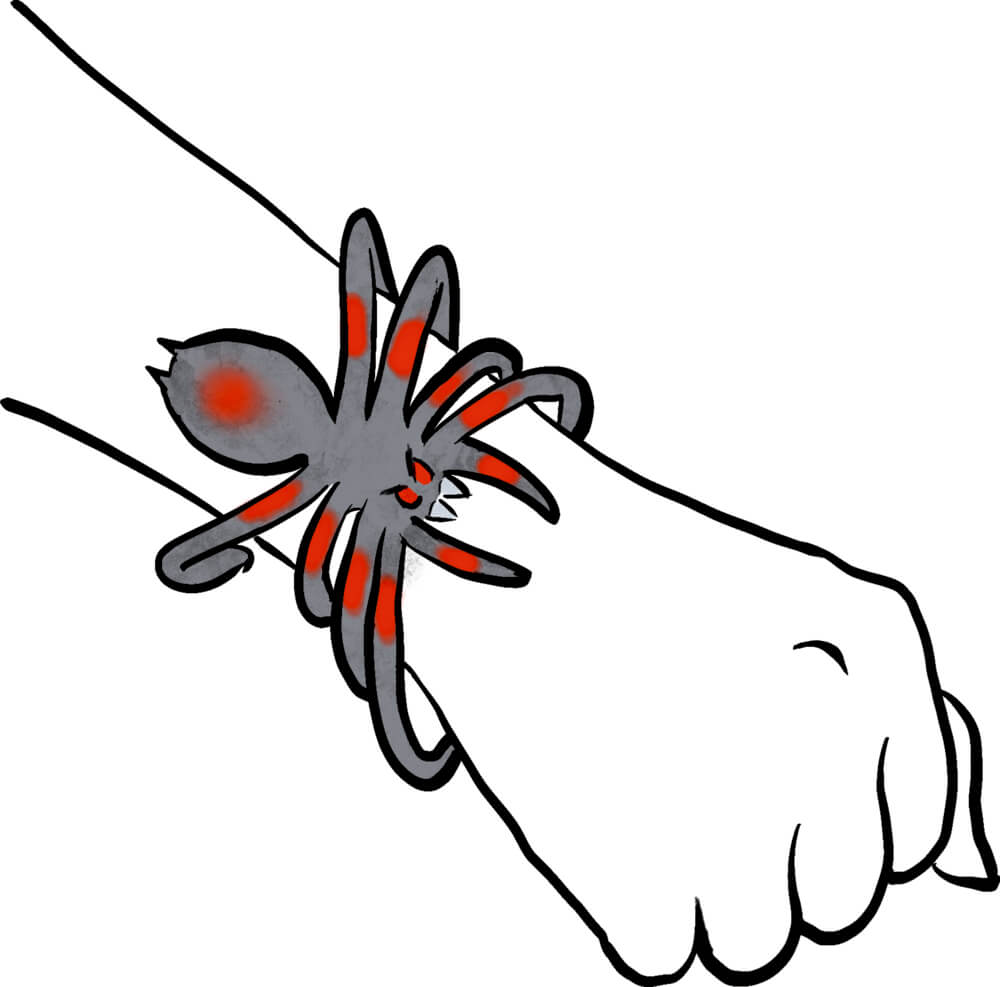 Biege-Spinne - Wild+Cool (einzeln)
